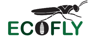 Ecofly Logo